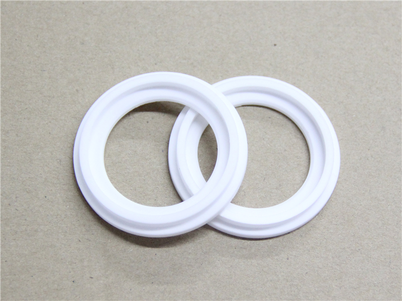 硬密封件，陶瓷密封件，產(chǎn)品