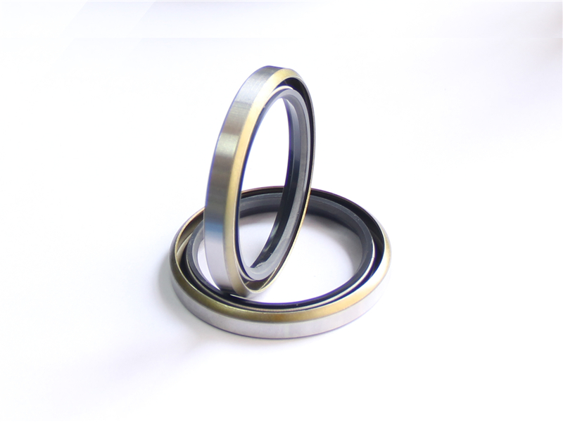 油封，浮動(dòng)，密封件，產(chǎn)品