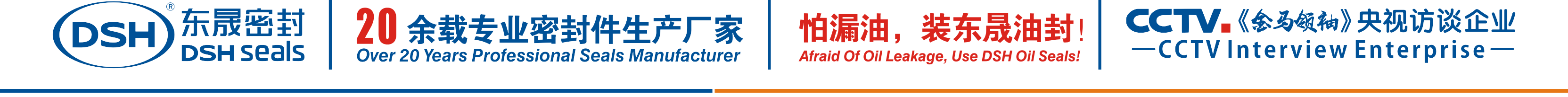 怕漏油，裝東晟油封！