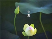 立夏已至，萬物向陽；